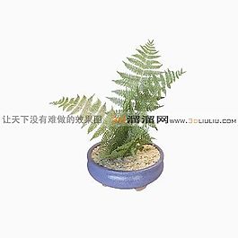 3D盆景模型