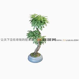 3D盆景模型