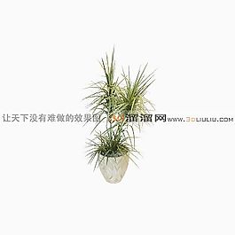 3D盆景模型