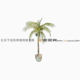 3D盆景模型