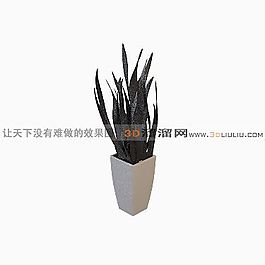 3D盆景模型
