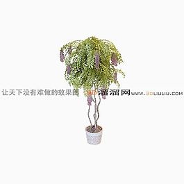 3D盆景模型