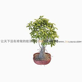 3D盆景模型