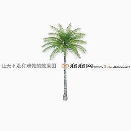 3D椰子樹模型