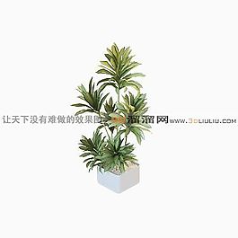 3D盆景模型