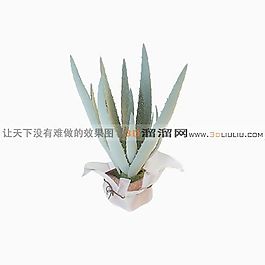 3D盆景模型
