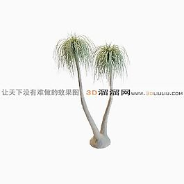 3D樹模型
