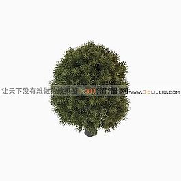 3D樹模型