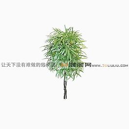 3D樹(shù)模型