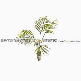 3D盆景模型