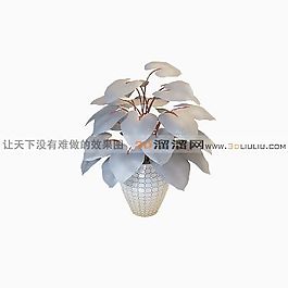 3D盆景模型
