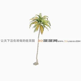 3D椰子樹模型
