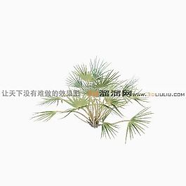 3D花草模型