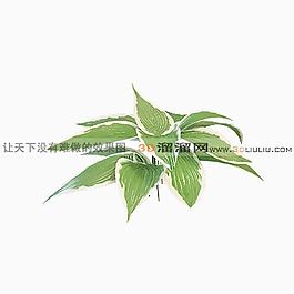 3D花草模型