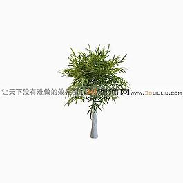 3D樹(shù)模型