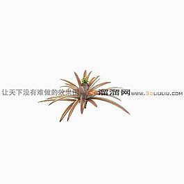 3D菠萝模型