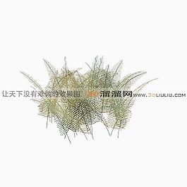 3D花草模型