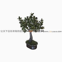 3D盆景模型