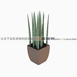 3D盆景模型