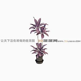 3D盆景模型