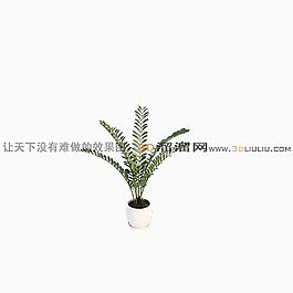 3D盆景模型