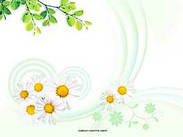 韓國淡雅樹葉菊花PPT模板