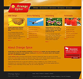 國外橙色植物創意網站模板