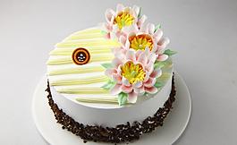生日蛋糕 魚尾菊