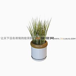 3D盆景模型