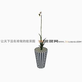 3D盆景模型
