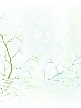 矢量春天花卉背景