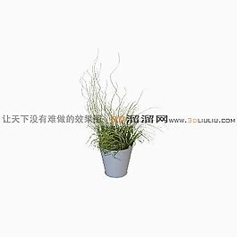 3D盆景模型