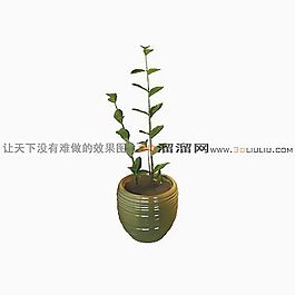 3D盆景模型