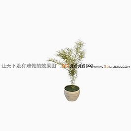 3D盆景模型