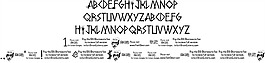 amhole字體