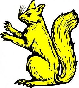 松鼠的剪輯藝術(shù)