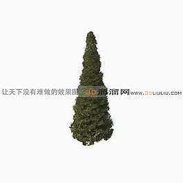 3D松树模型