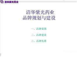 藥業集團品牌規劃與建設