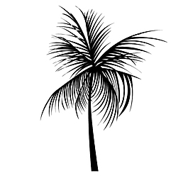 小椰树笔刷
