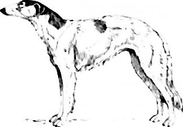 獵狼的剪輯藝術(shù)