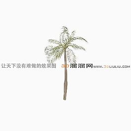 3D椰子樹模型