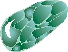 綠纖石綠星石剪貼畫