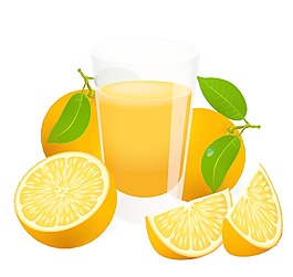 鮮橙葉及橙片矢量