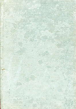 本書涵蓋了22個(gè)紋理