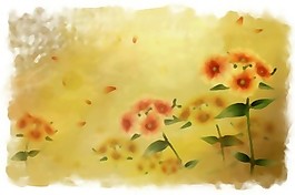 风和雨花背景PSD分层