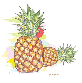豐富多彩的飛濺矢量菠蘿