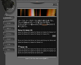 韓國模板