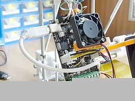 minitronics和球迷的支持