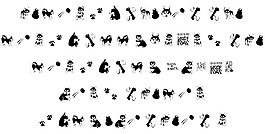 dingbash字體