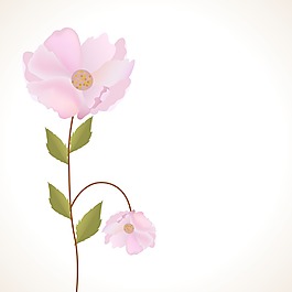 摘要背景花與花
